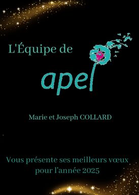 Voeux 2025 Apel.jpg